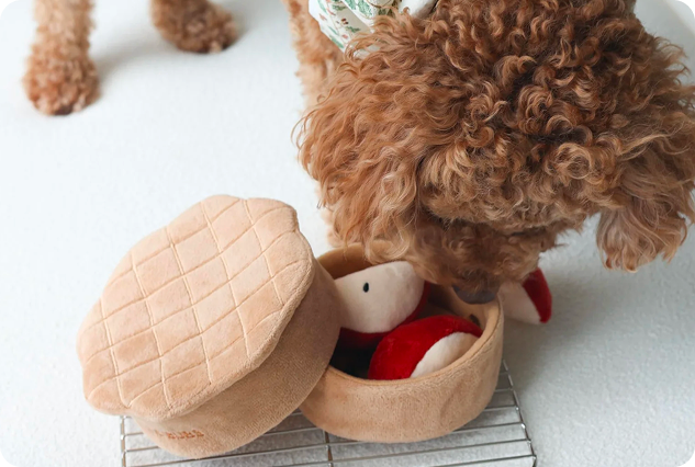 chytre_hracky_pro_psy1