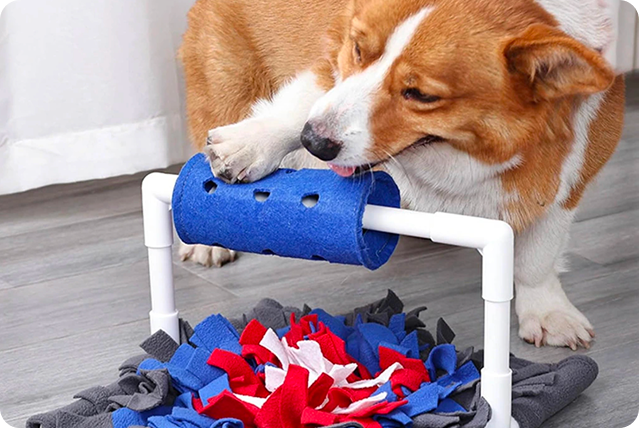 interaktivni_hracky_pro_psy