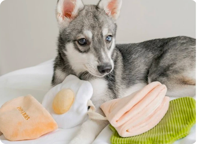 interaktivni_hracky_pro_psy1