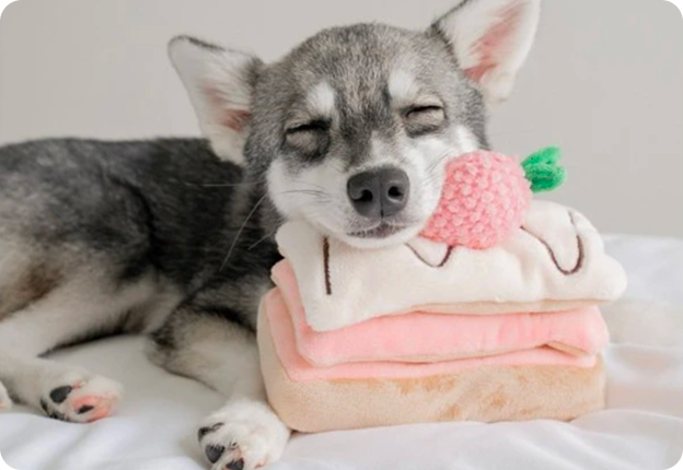 plysove_hracky_pro_psy1