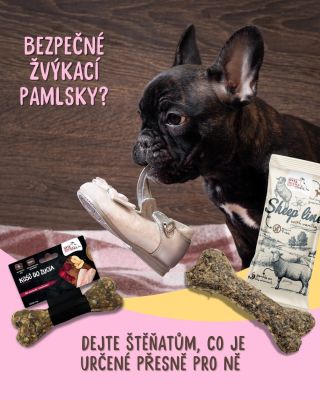 Tohle je přesně to, co vaše malá piraňa potřebuje! 🤌 🤤 Štěňátka sužuje při prořezávání zoubků nesnesitelné svědění 🤯...