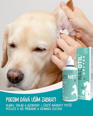 🍂 Proč se na podzim psům vracejí problémy s ušima? Podzim společně s krásnými barvami znamení i vlhko, chlad a bahno – a...