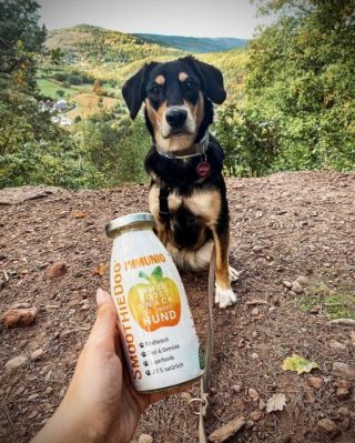 Se SmoothieDog Immuno je pejsek fit i v chladném období! 🐶🍂 SmoothieDog Immuno dodá vašemu psovi energii a vitamíny přímo...