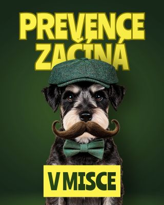 #Movember patří i psům 💚 Žádné strašení — jen to, co máte ve svých rukou 👉 Mějte přehled, dělejte malé kroky, zapisujte...
