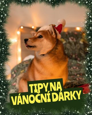 Vánoce pro čtyři tlapky? My jsme připraveni. A co vy? 👀 Míčky, voňavé pochoutky, měkoučké hračky nebo malý santa 🎅🐶 Vše...